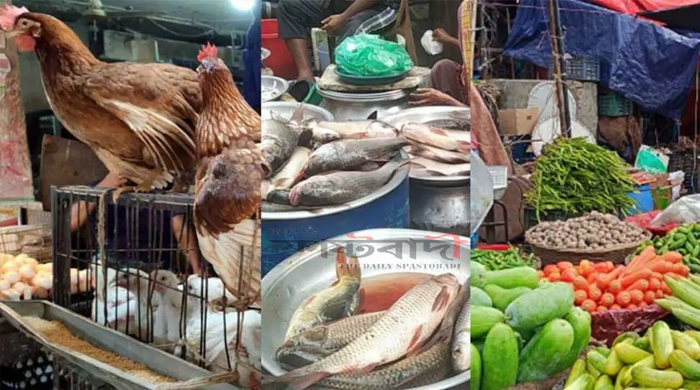 চড়া মাছ-মুরগি-সবজির বাজার