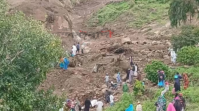 সুদানে ভূমিধসে পুরো গ্রাম ধ্বংস: এক হাজার মানুষের মৃত্যু, বেঁচে আছেন একজন