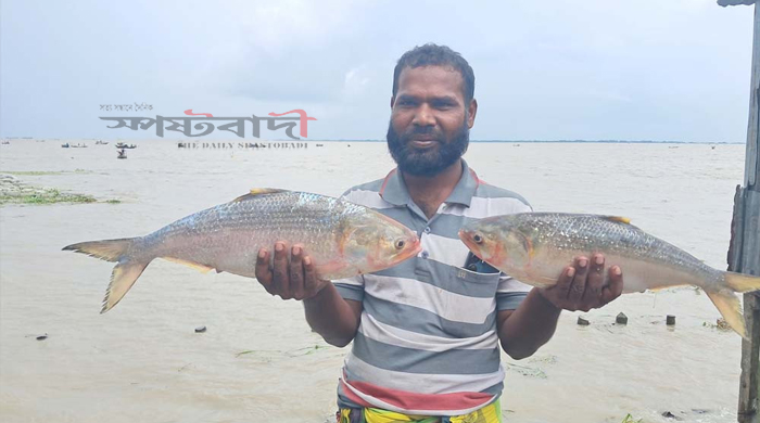 মেঘনায় মিলল দুই রাজা ইলিশ, বিক্রি সাড়ে ১০ হাজারে
