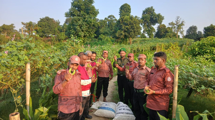 গুইমারায় শিম চাষে ভিডিপি সদস্যদের ভাগ্যবদল