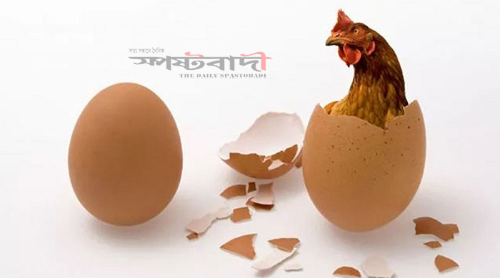 বিশ্ব ডিম দিবস আজ