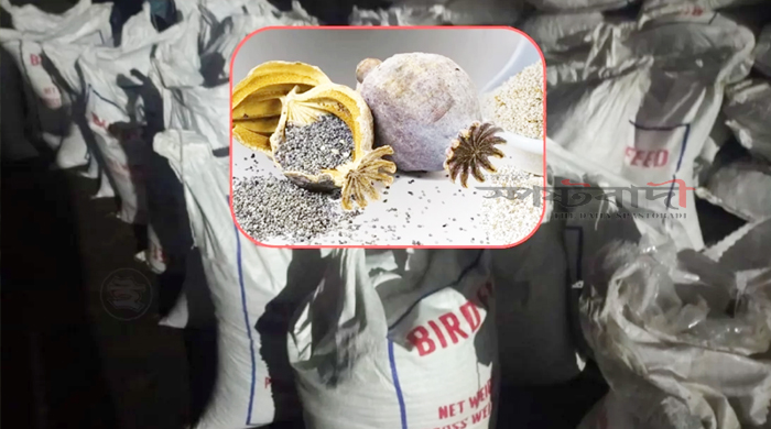 পাখির খাদ্যের আড়ালে পাকিস্তান থেকে এল আমদানি নিষিদ্ধ পপি বীজ