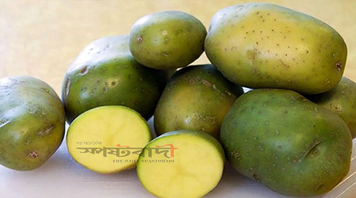 সবুজ আলু খান জেনে নিন কী ক্ষতি হতে পারে
