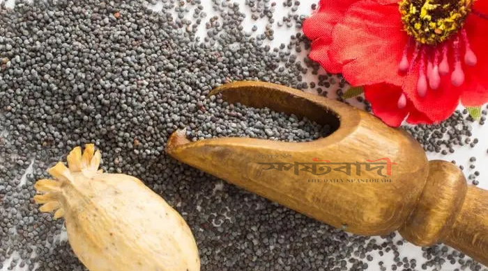 পপি সিড বা পোস্ত দানা কী মাদক, আইন কী বলে