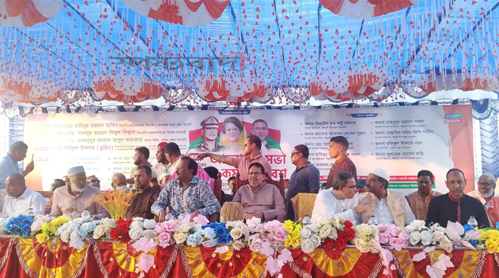 ঈশ্বরদীর দাশুড়িয়ায় বিএনপির উদ্যোগে জাতীয় বিপ্লব ও সংহতি দিবস উদযাপন